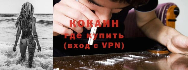 ПСИЛОЦИБИНОВЫЕ ГРИБЫ Бородино
