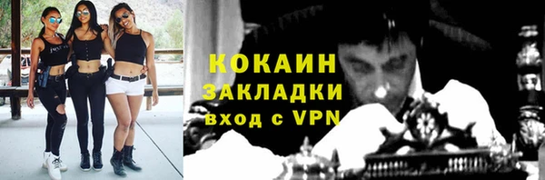 кокс Богородицк
