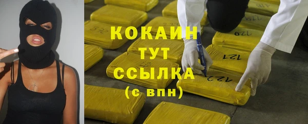 ПСИЛОЦИБИНОВЫЕ ГРИБЫ Бородино