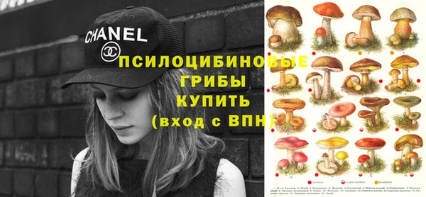 кокс Богородицк
