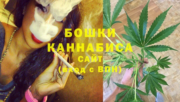 кокс Богородицк