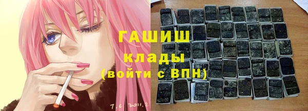 стаф Богородск